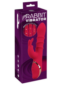 Rabbit Vibrator with 3 Moving